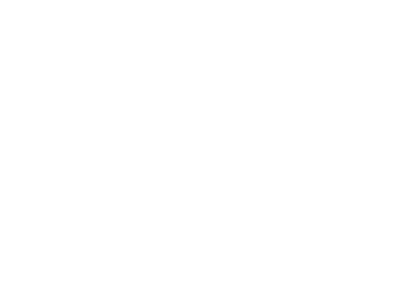E-MOTION logo